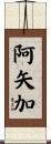 阿矢加 Scroll