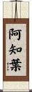 阿知葉 Scroll