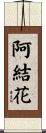 阿結花 Scroll