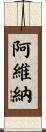 Avina Scroll
