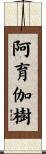 阿育伽樹 Scroll