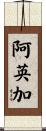 阿英加 Scroll