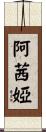 Assia Scroll