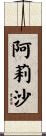 阿莉沙 Scroll