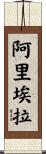 Ariela Scroll