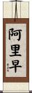 阿里早 Scroll