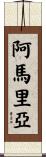 Amaryah Scroll