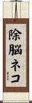 除脳ネコ Scroll