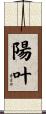 陽叶 Scroll