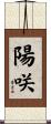 陽咲 Scroll
