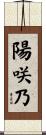 陽咲乃 Scroll