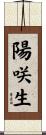 陽咲生 Scroll