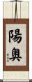 陽奥 Scroll