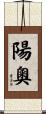陽奧 Scroll