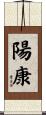 陽康 Scroll
