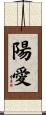 陽愛 Scroll