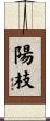 陽枝 Scroll