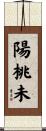 陽桃未 Scroll