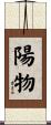 陽物 Scroll