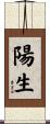 陽生 Scroll