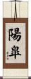 陽皐 Scroll