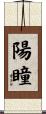 陽瞳 Scroll