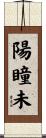 陽瞳未 Scroll