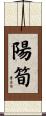 陽筍 Scroll