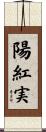 陽紅実 Scroll