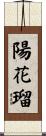 陽花瑠 Scroll