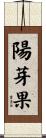 陽芽果 Scroll