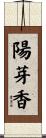 陽芽香 Scroll