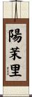 陽茉里 Scroll