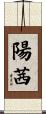 陽茜 Scroll
