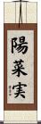 陽菜実 Scroll