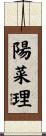 陽菜理 Scroll