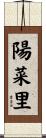陽菜里 Scroll