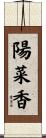 陽菜香 Scroll