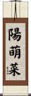 陽萌菜 Scroll