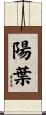 陽葉 Scroll
