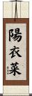 陽衣菜 Scroll