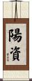 陽資 Scroll