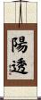 陽透 Scroll