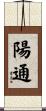 陽通 Scroll