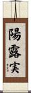 陽露実 Scroll