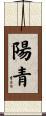 陽青 Scroll