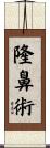 隆鼻術 Scroll