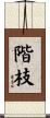 階枝 Scroll