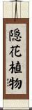 隠花植物 Scroll