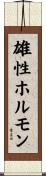 雄性ホルモン Scroll